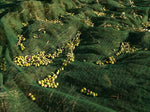 Monocultivar Ogliarola Messinese - Olio EVO Bio Siciliano