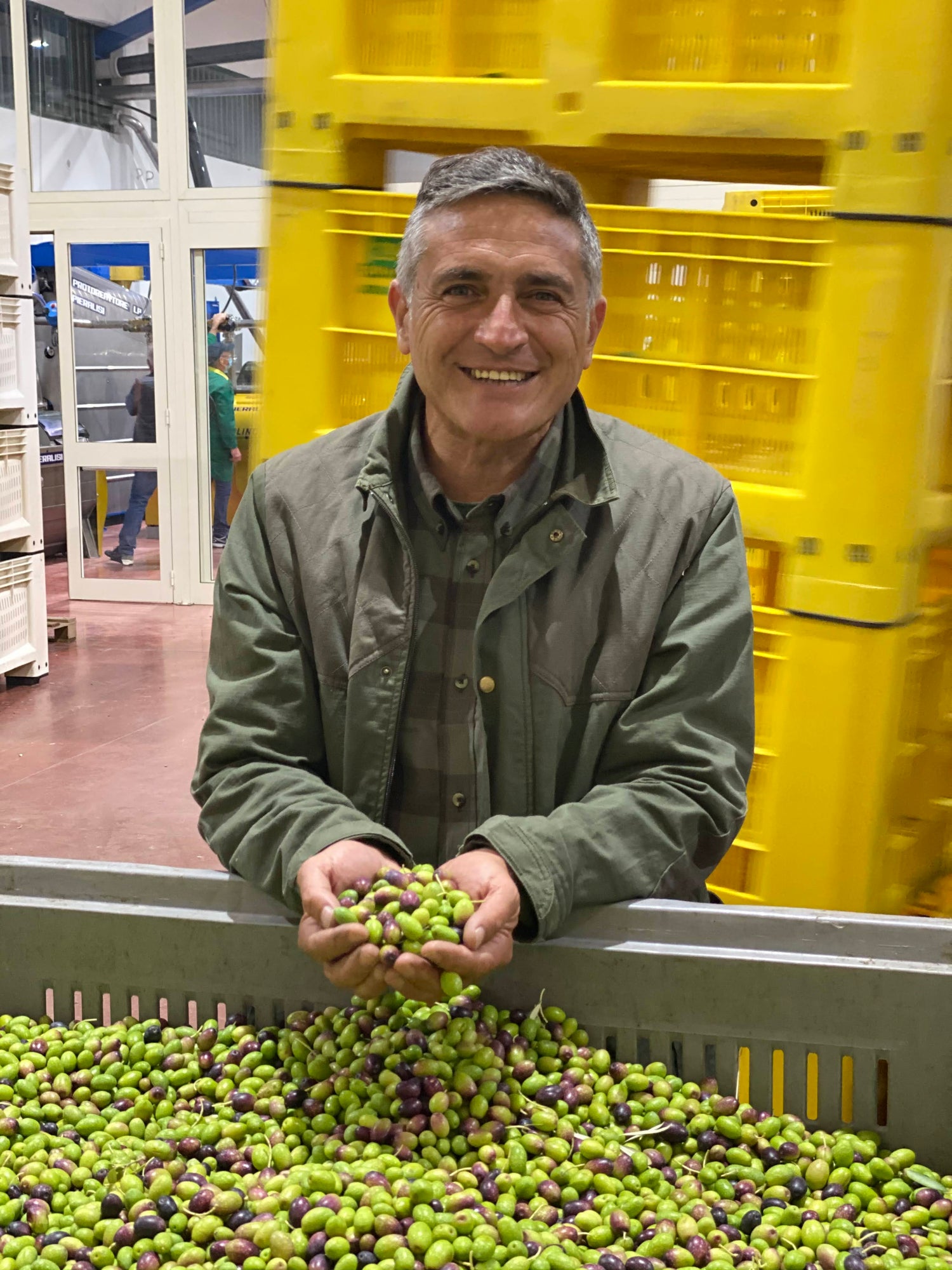 Olio extravergine di oliva "Garbato" - biologico Italiano