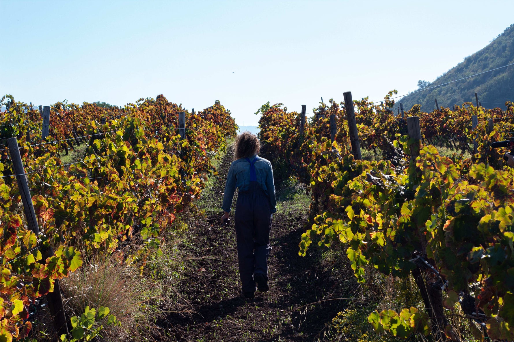 Box Wine Lovers - Degustazione Vino Siciliano